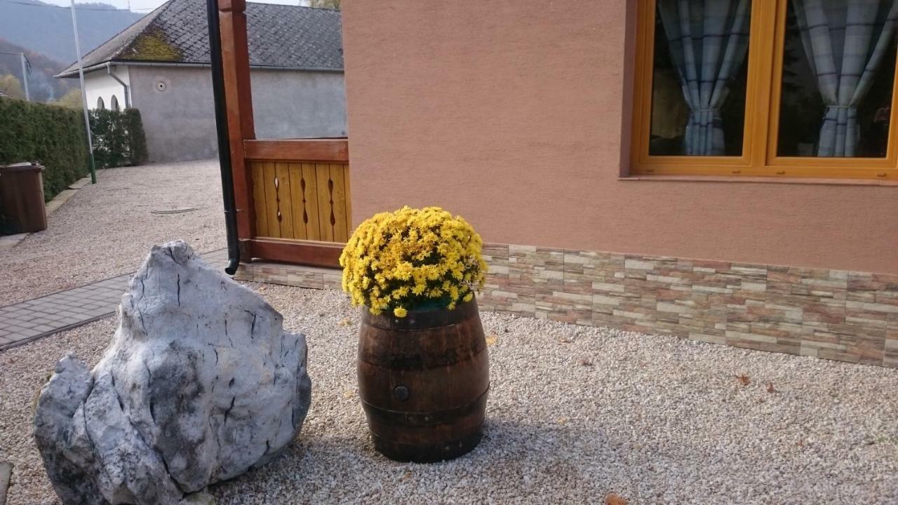 Penzion Vian Krasnohorska Dlha Luka Dış mekan fotoğraf